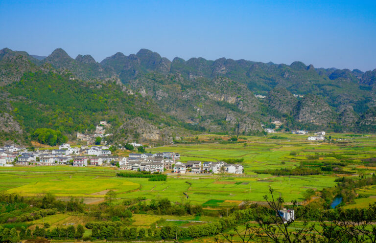 Sui Banglun - 《锦绣田园Magnificent-countryside》_DSC8018
